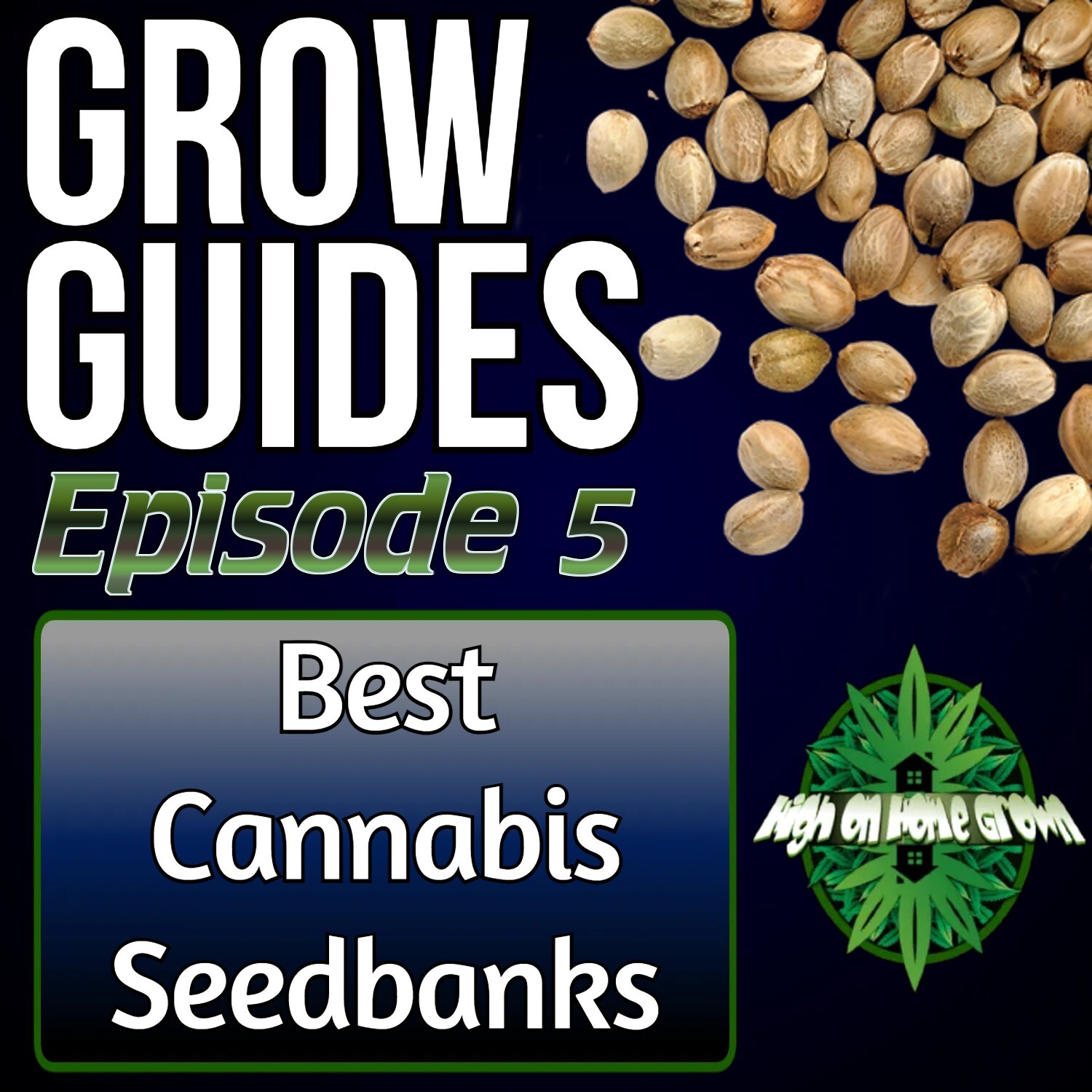 Best Cannabis Seed Banks | Cannabis Grow Guides Episode 5