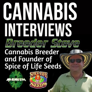 Breeding Cannabis Seeds, Making Hash, and Traveling the World | Interview with Breeder Steve