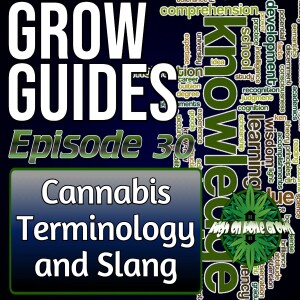 Cannabis Terminology and Slang | Cannabis Grow Guides Episode 30
