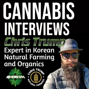 Growing Cannabis with Korean Natural Farming Techniques | Interview with Chris Trump