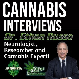 Dr. Ethan Russo, a Renowned Neurologist, and Cannabis Researcher