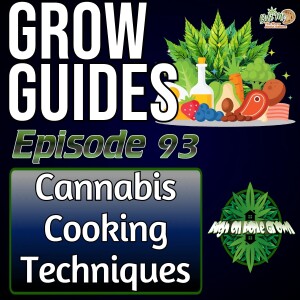 Cannabis Cooking Techniques, Making Festive Dishes Infused with Cannabis | Cannabis Grow Guides Episode 93