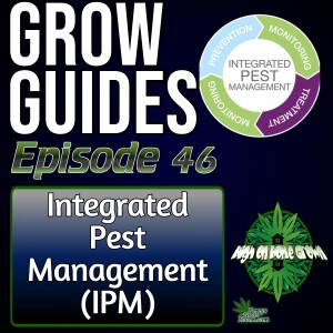 Integrated Pest Management (IPM) for Cannabis Plants | Cannabis Grow Guides Episode 46