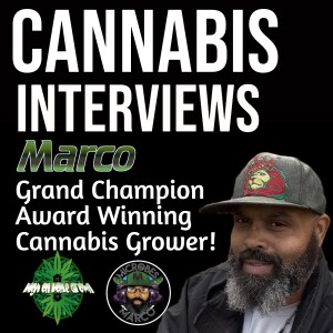 How to Grow Award Winning Cannabis, With Marco, from the Bryan and Marco Show!