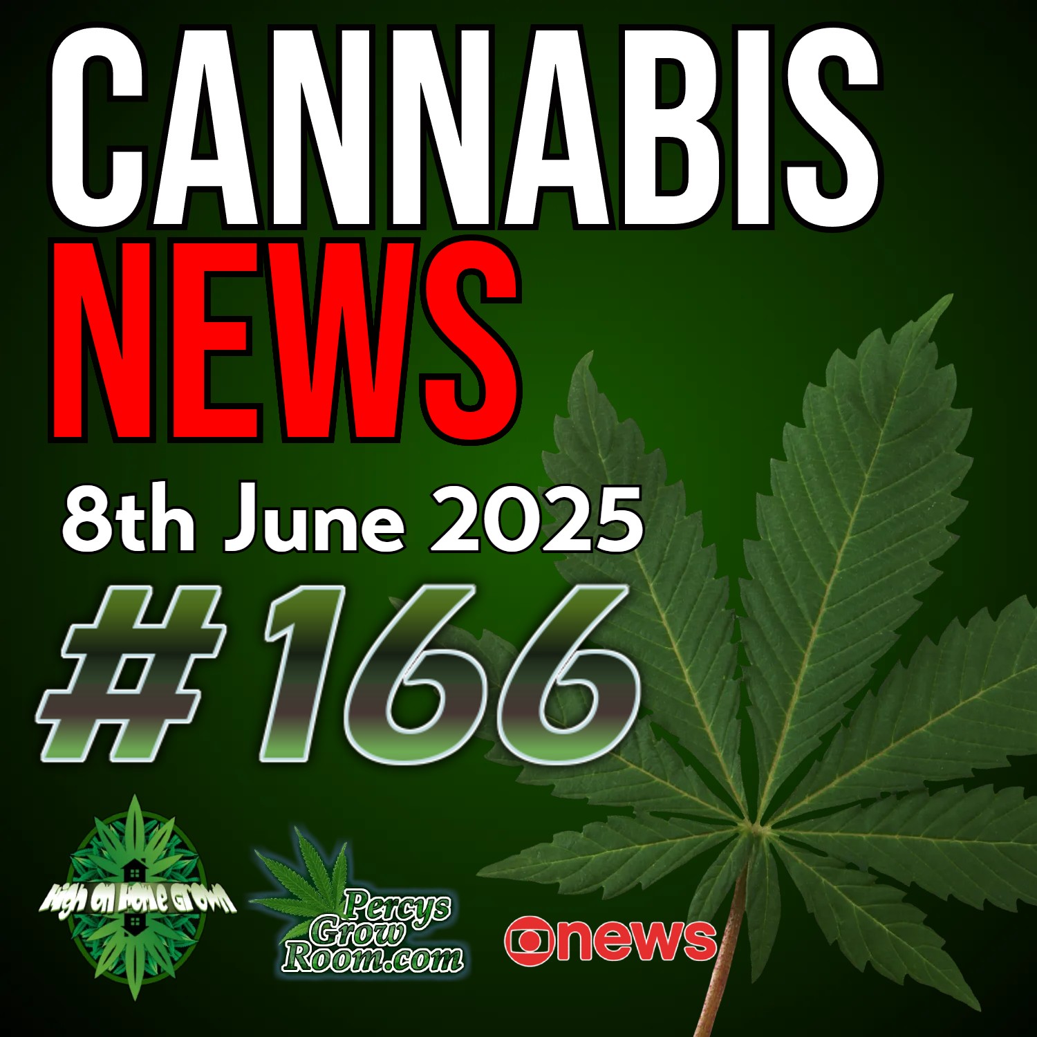 Police Commander Fired Over Drug Test | Cannabis Smuggled as Candles | Decriminalising Bong Water? | UK Review Sparks Debate | Cannabis News Episode 166