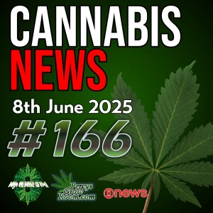 Police Commander Fired Over Drug Test | Cannabis Smuggled as Candles | Decriminalising Bong Water? | UK Review Sparks Debate | Cannabis News Episode 166