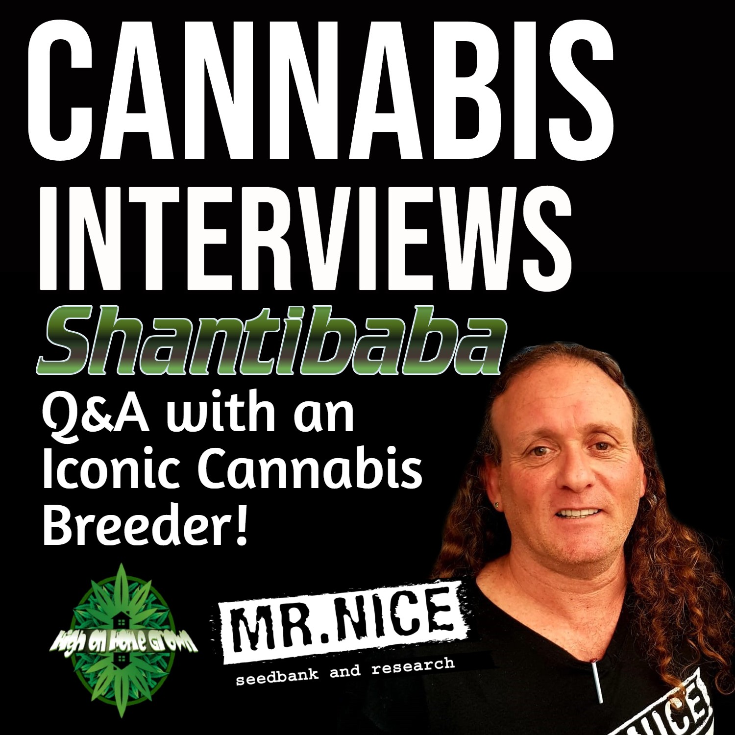 Q&A with the Legendary Cannabis Breeder, Shantibaba! Triploids, Autos, CBD Strains and "True Male" Cannabis Plants!