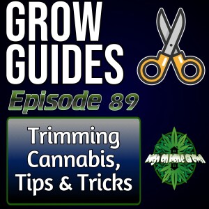 Trimming Cannabis Tips and Tricks, | Cannabis Grow Guides Episode 89