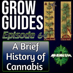 From Ancient Medicine to Modern Legalization: A Brief History of Cannabis | Cannabis Grow Guides Episode 64