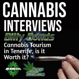 Cannabis Tourism in Tenerife. The Legality, Price and Quality of Cannabis in Tenerife | Interview with The Roving Reporter, Billy Bonds