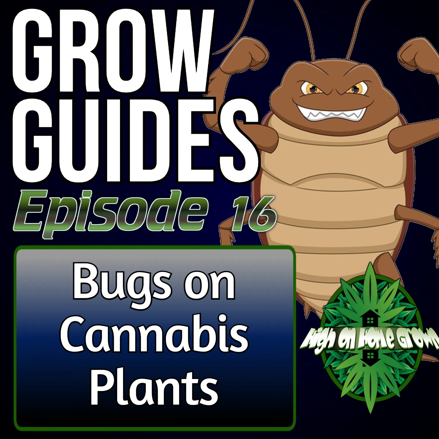 Bugs on Cannabis Plants | Cannabis Grow Guides Episode 16