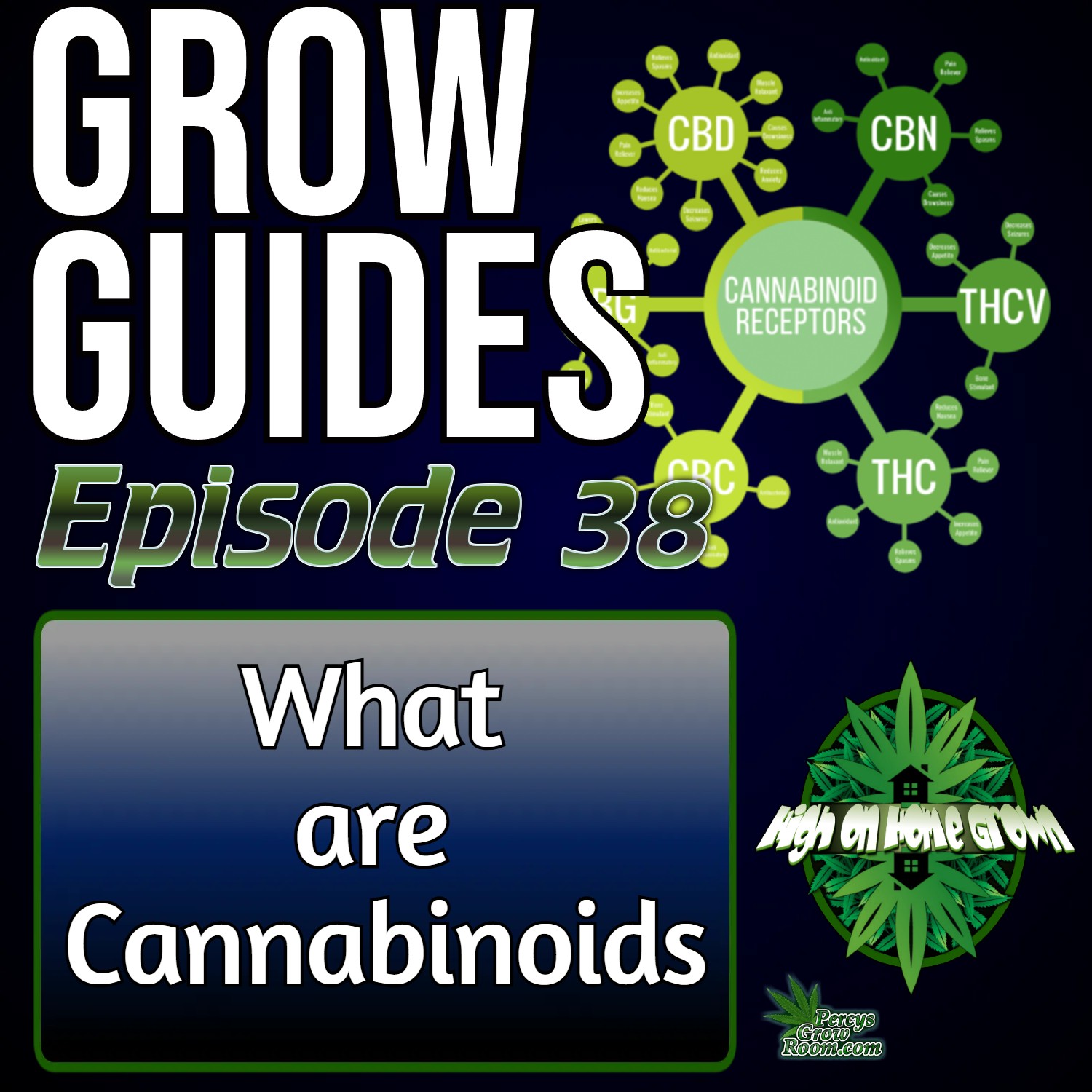 Understanding Cannabinoids: THC, CBD, and Beyond | Cannabis Grow Guides Episode 38