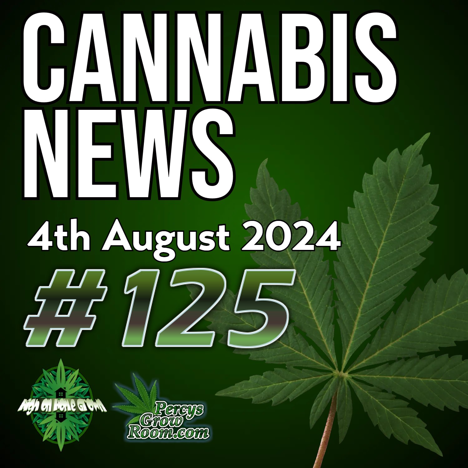 Man Jailed and Gets Caned for Selling Cannabis | More Medical Cannabis Studies in the UK | GOP Back Policy to Treat Cannabis Like Tobacco! | Texas Set To Decriminalise Cannabis? | Cannabis News 125