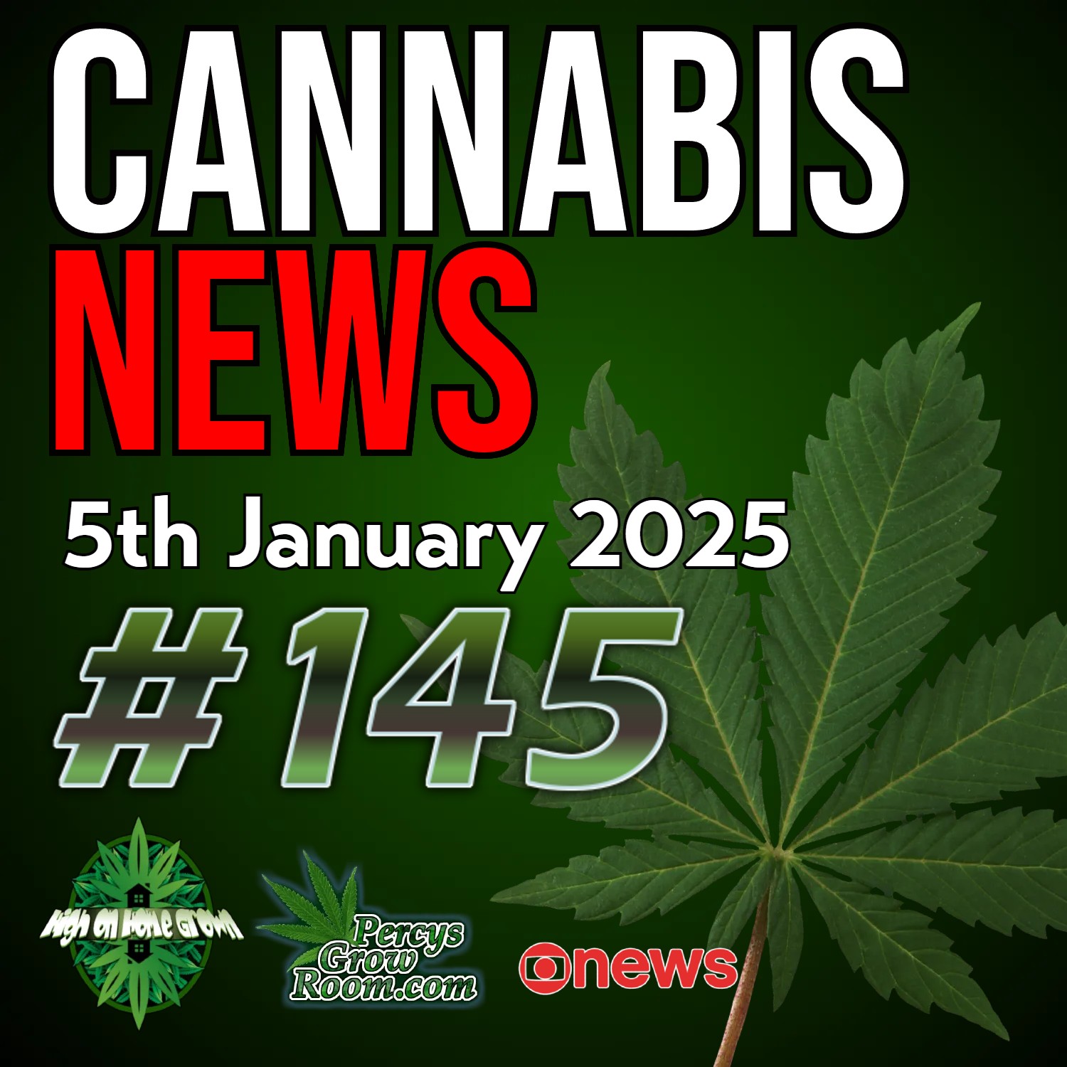 Does Cannabis Cause Psychosis? | Legal Cannabis Causes Rise in Cannabis Use Disorder? | Will Trump Legalize Weed? | 10 Signs Authorities Look for When Searching for Cannabis Grows