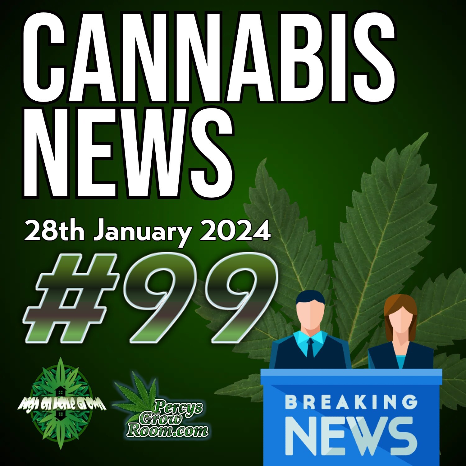 CBD Helps Reduce Anxiety in Nervous Dogs | Murderer Avoids Jails Because of "Cannabis Psychosis" | Hawaii to Legalise Psilocybin for Therapeutic Use? | Cannabis News Episode 99