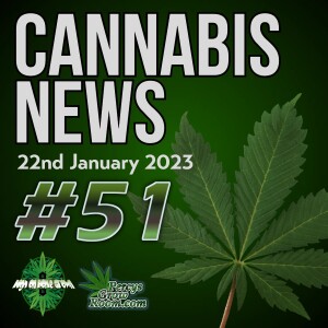Rules for Thee, Not For Me, UK Double Standards in the Cannabis Industry | Police Find Cannabis Farm in Underground Bunker in Australia | US Virgin Island Legalise Cannabis