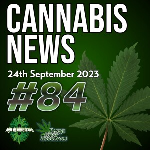 Thailand Making Huge U-Turn on Cannabis | The Return of ”Marijuana Tax Stamps”? | UK Government Cover up Regarding Cannabis Study | Netherlands to Legalise! | Cannabis News 84