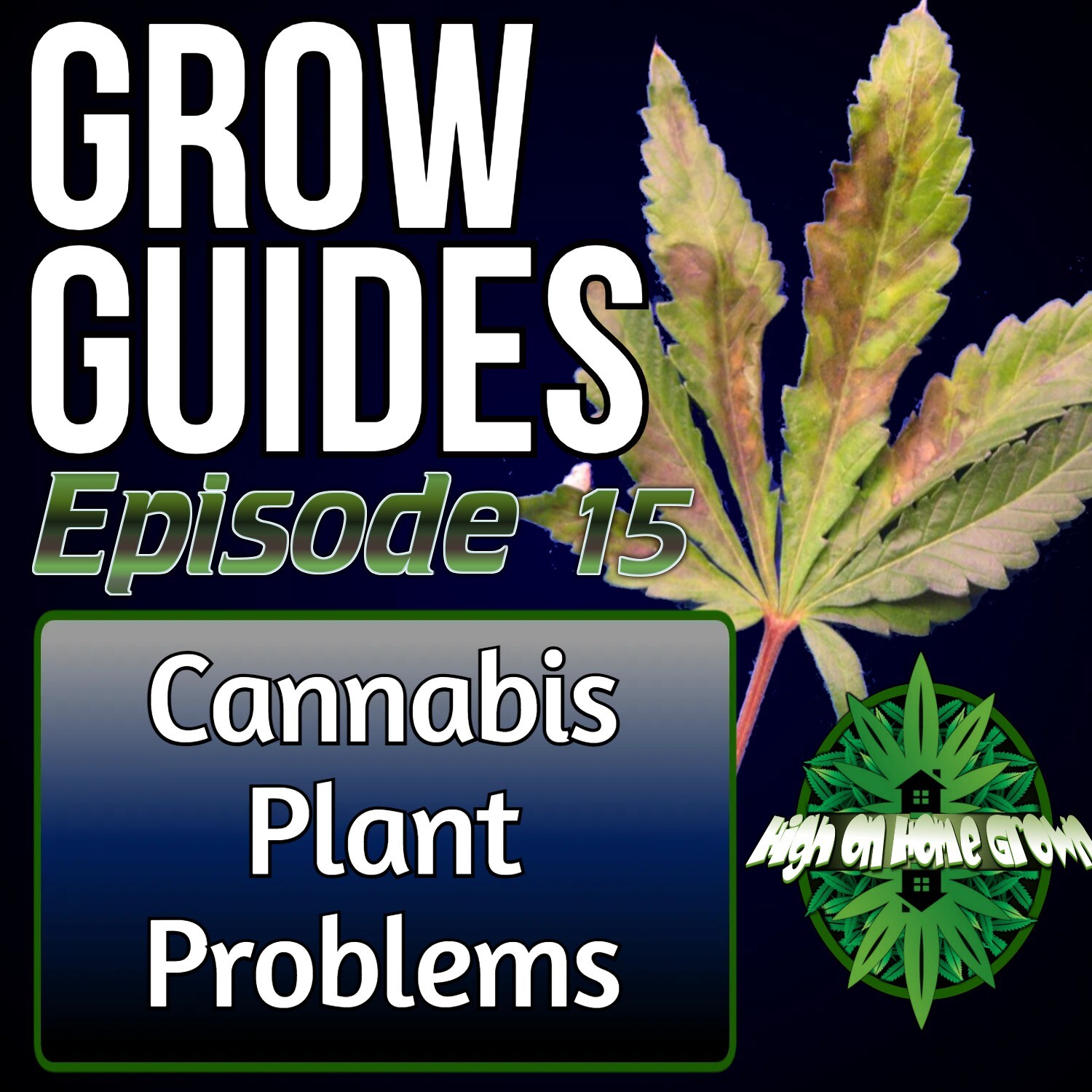 Cannabis Plant Problems | Cannabis Grow Guides Episode 15