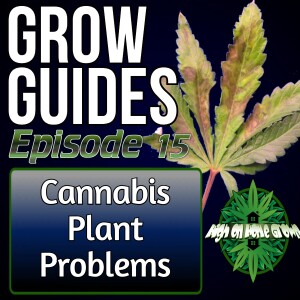 Cannabis Plant Problems | Cannabis Grow Guides Episode 15