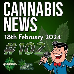 Myths About Cannabis Exposed! | What is Triploid Cannabis, and How Does it Work? | Ukraine Legalised Medical Cannabis | Is the DEA Changing its View on Cannabis? | Cannabis News Episode 102