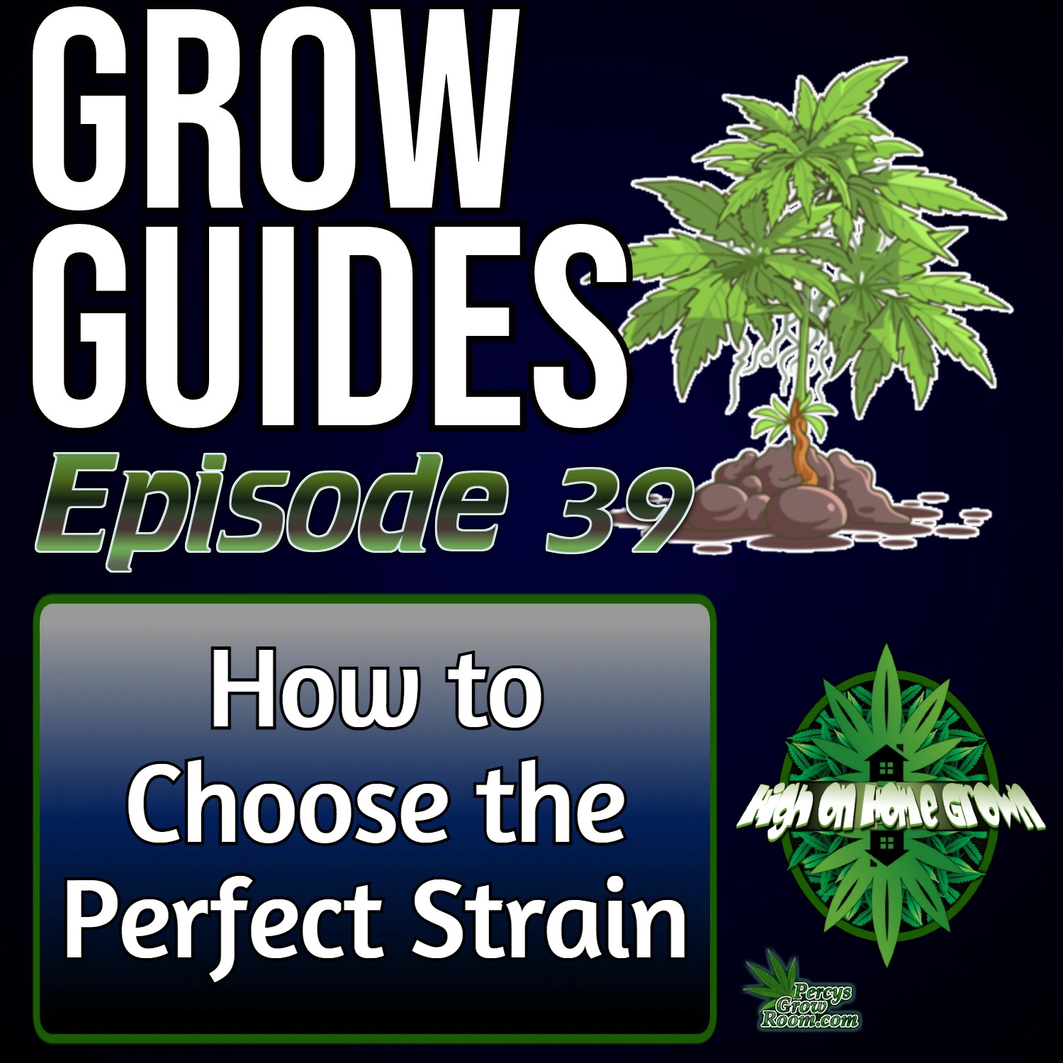How to Choose the Perfect Strain for You! | Cannabis Grow Guides Episode 39