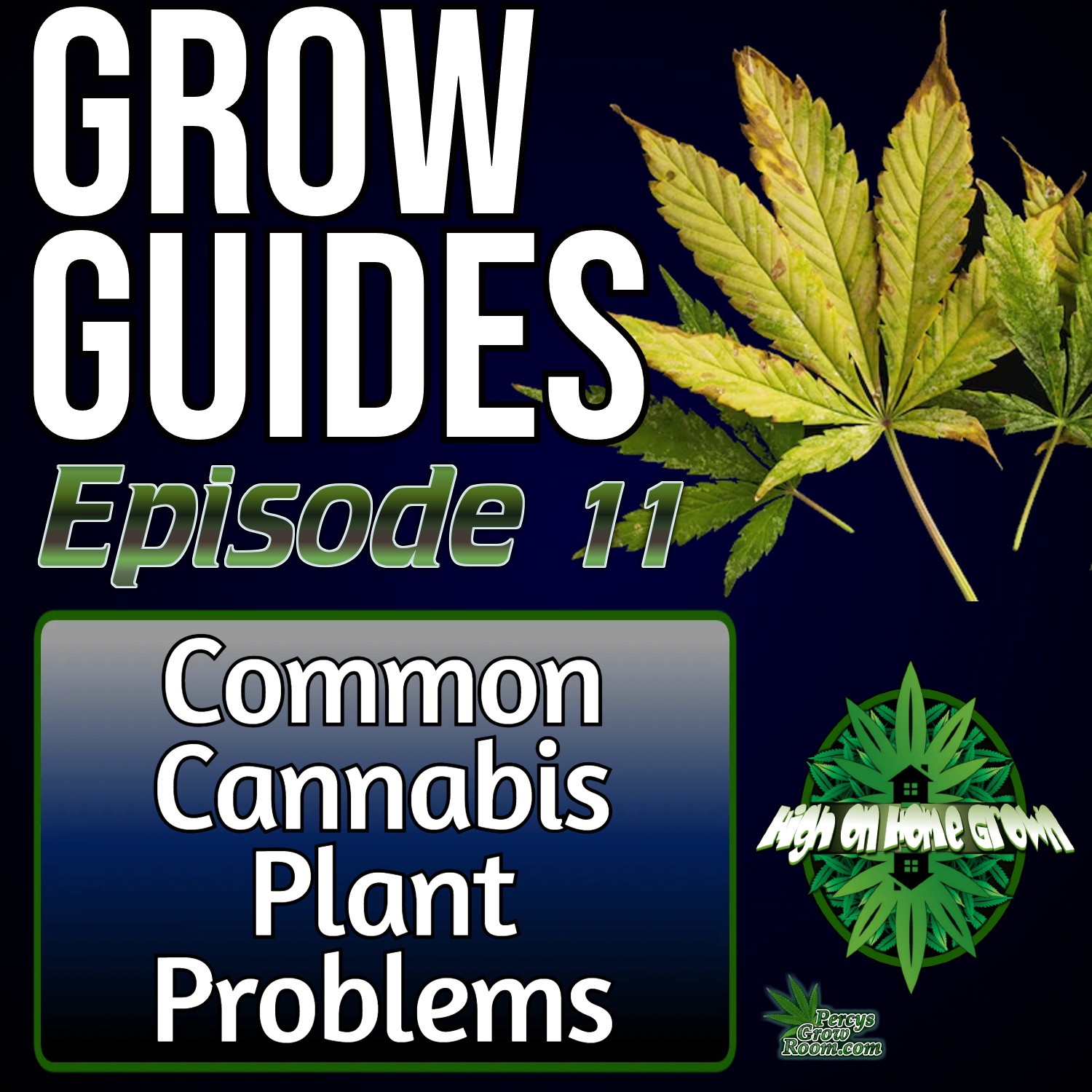 Common Cannabis Plant Problems | Cannabis Grow Guides Episode 11