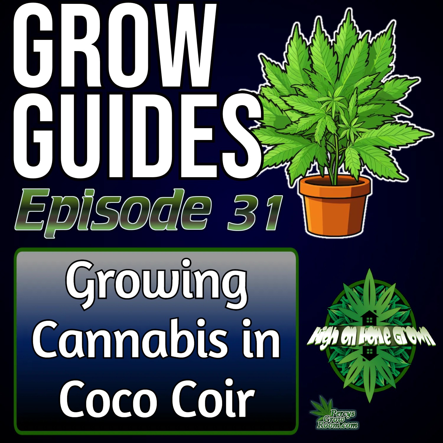 Growing Cannabis in Coco Coir and Other Soilless Mediums | Cannabis Grow Guides Episode 31