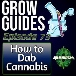 How Dabbing Cannabis Works, How Make Rosin, and Best Dabbing Rigs to Use | Cannabis Grow Guides Episode 73