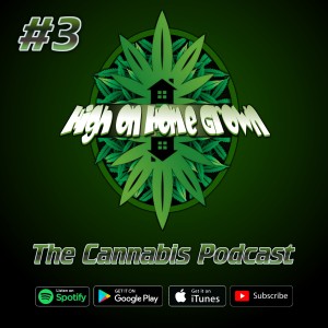 Different Types of Cannabis Seeds Explained, Interview with Danny Danko, Cannabis Podcast, Ep #3