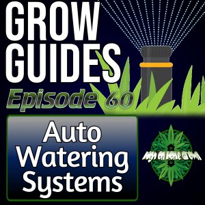 Water Works: Unlocking the Potential of Automated Plant Watering Systems | Cannabis Grow Guides Episode 60