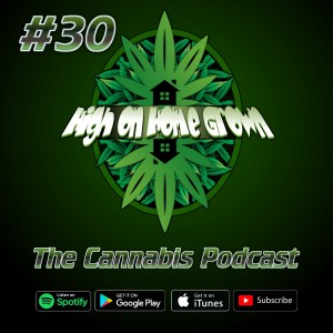 How to Make Feminised Cannabis Seeds, Tommy Chong Interview, JFK, Cannabis Podcast, Ep #30