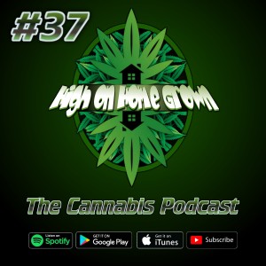 Predatory Insects, Luke Ming Flanagan, Bermuda Triangle, Cannabis Podcast, # Ep37