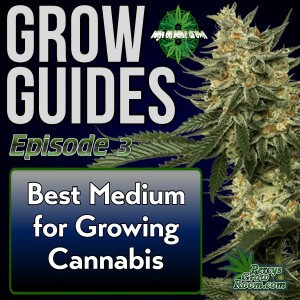 What is the Best Medium for Growing Cannabis? Soil, Hydro, Organics, and more, Plus Listener Q & A and Killer Robots