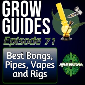 Bongs, Pips, Dabbing Rigs and Glassware for Consuming Cannabis | Cannabis Grow guides Episode 71