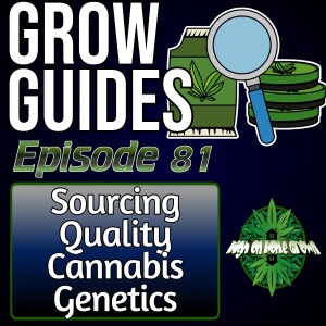 Sourcing Quality Genetics for Cannabis Cultivation | Cannabis Grow Guides Episode 81