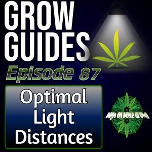 Optimal Light Distances for Cannabis Plants | Cannabis Grow Guides Episode 87
