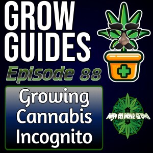 Growing Cannabis Incognito and Stealth Growing | Cannabis Grow Guides Episode 88