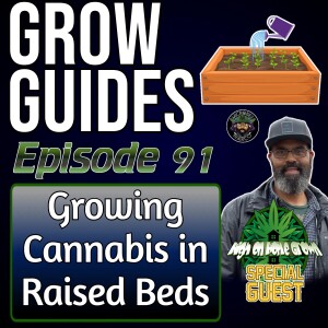 Growing Cannabis in Raised Beds, with Award Winning Grower, Marco | Cannabis Grow Guides Episode 91