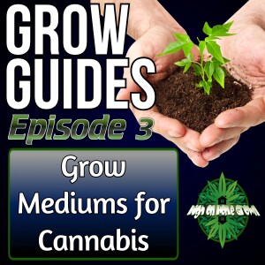 Best Medium for Growing Cannabis | Cannabis Grow Guides Episode 3