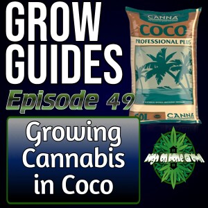 How to Grow Cannabis in Coco | Cannabis Grow Guides Episode 49