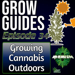 How to Grow Cannabis Outdoors | Cannabis Grow Guide Episode 34