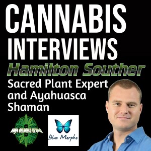 Interview with Sacred Plant Specialist and Ayahuasca Shaman, Hamilton Souther