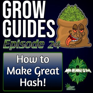 How to Make Great Hash! | Cannabis Grow Guides Episode 24