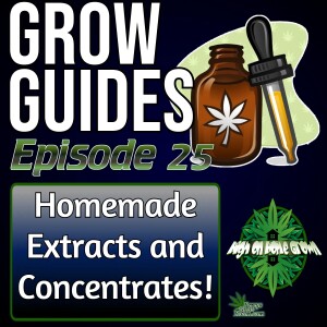 A Guide to Homemade Cannabis Extracts and Concentrates | Cannabis Grow Guides Episode 25