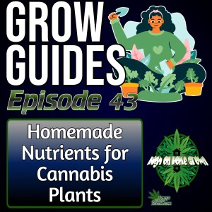 Homemade Nutrients for Cannabis Plants | Cannabis Grow Guides Episode 43