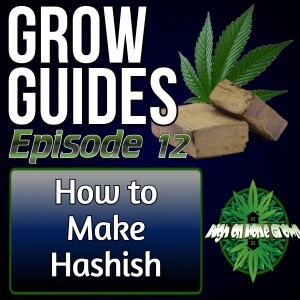 How to Make Hash | Cannabis Grow Guides Episode 12