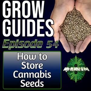 How to Store Cannabis Seeds to Keep Them Viable for Longer | Cannabis Grow Guides Episode 54