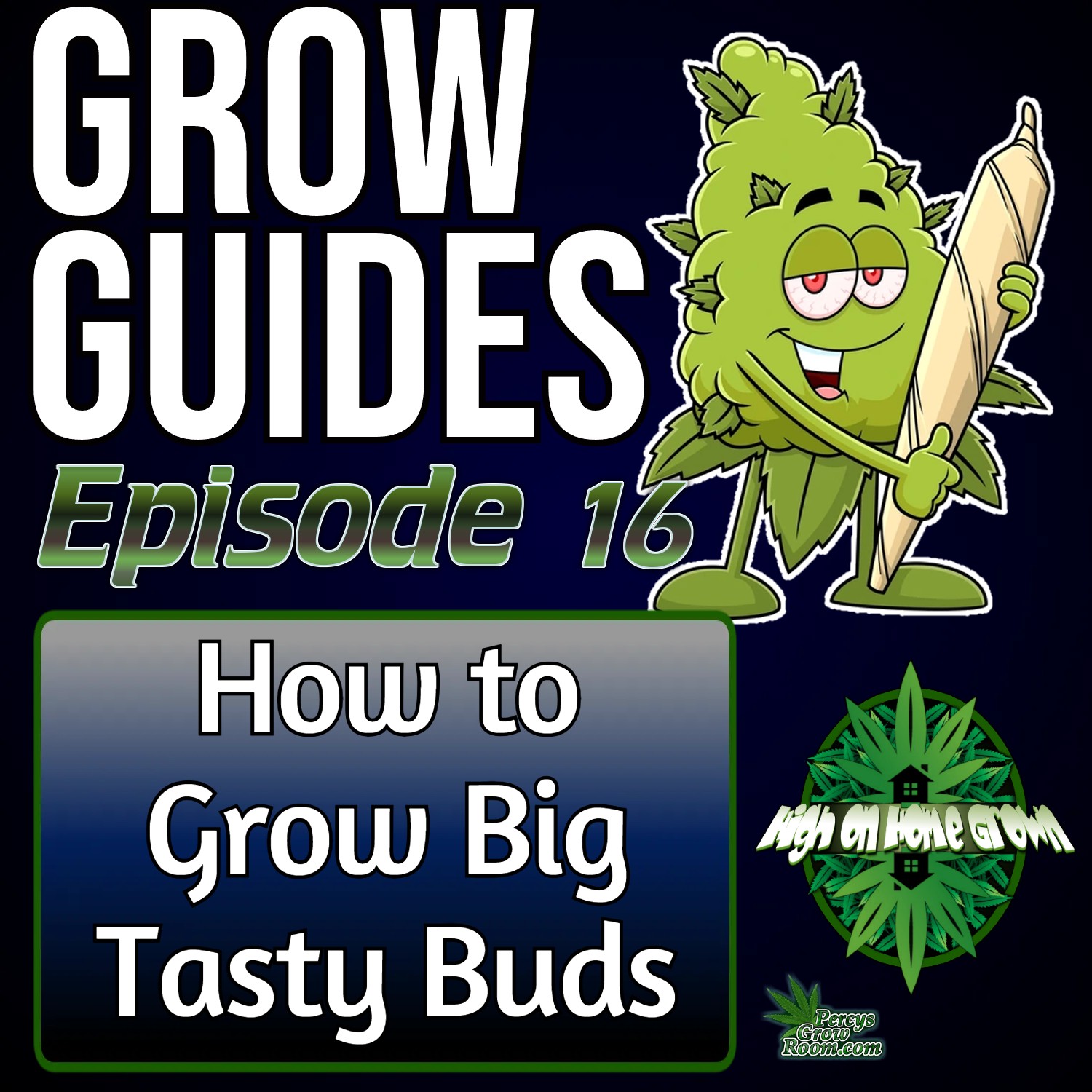 How to Grow Big Tasty Buds on Cannabis Plants | Cannabis Grow Guides Episode 16