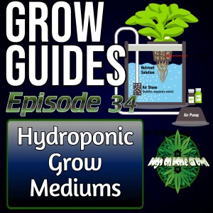 Hydroponics for Growing Cannabis | Cannabis Grow Guides Episode 34