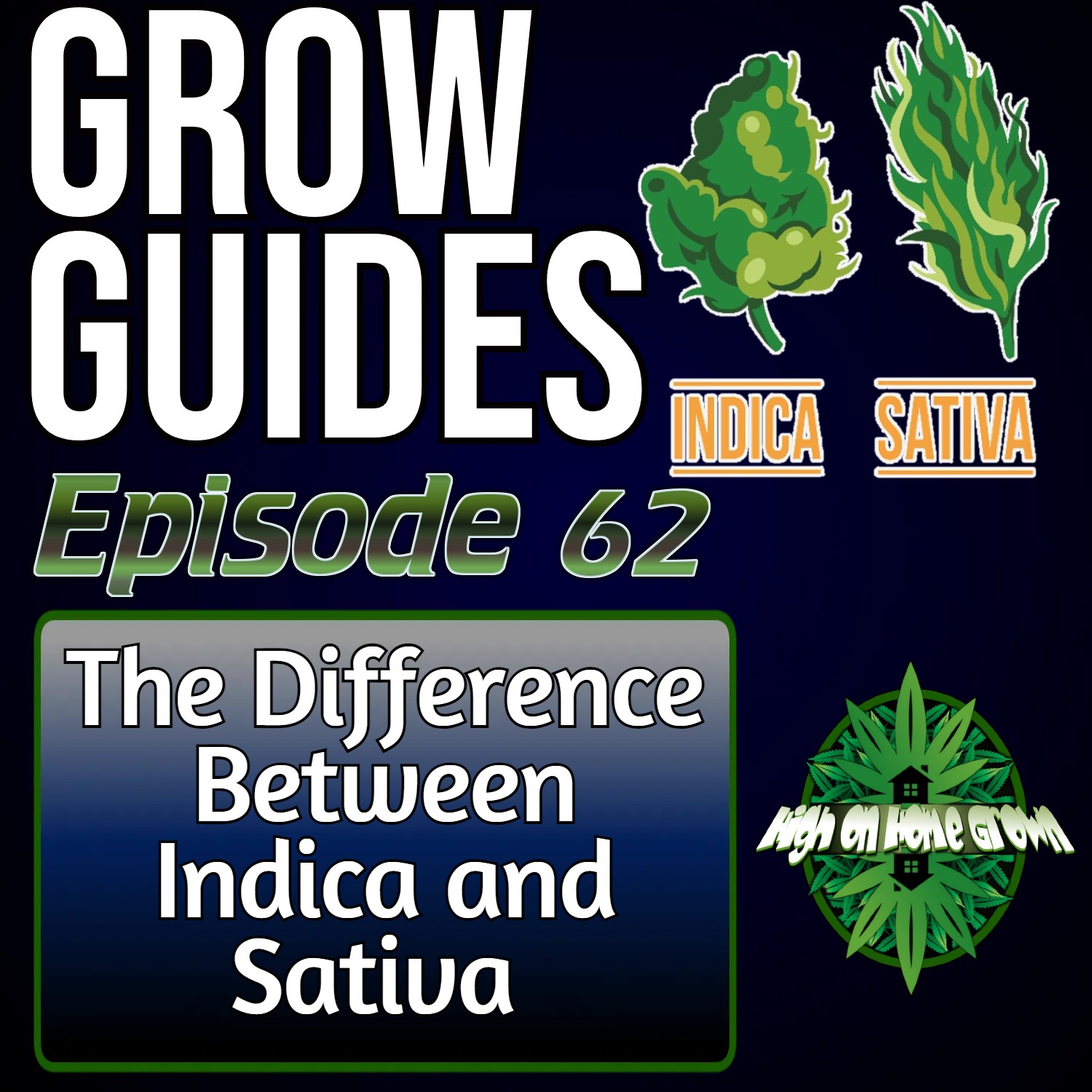 The Great Divide: Exploring the Differences Between Indica and Sativa | Cannabis Grow Guides Episode 62